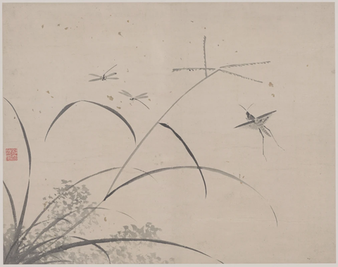 明 杜大成 花蝶草虫纸本28x35(5)