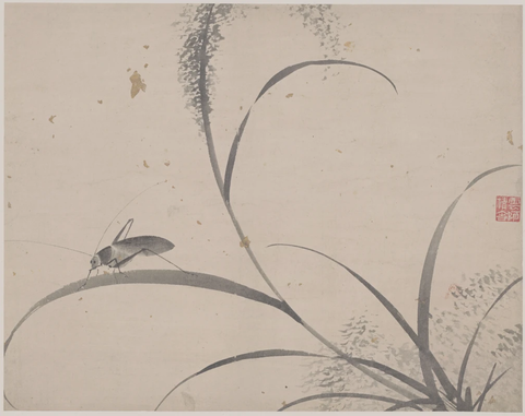 明 杜大成 花蝶草虫纸本28x35(7)