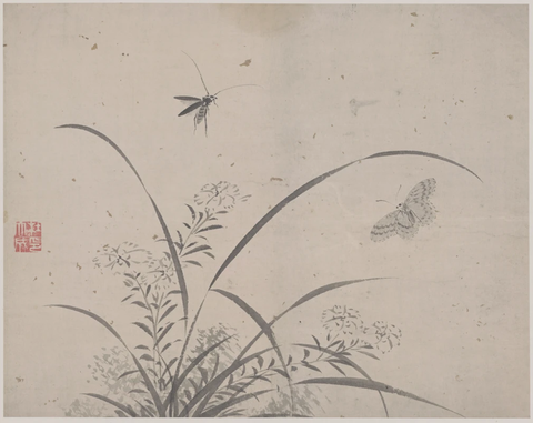 明 杜大成 花蝶草虫纸本28x35(8)