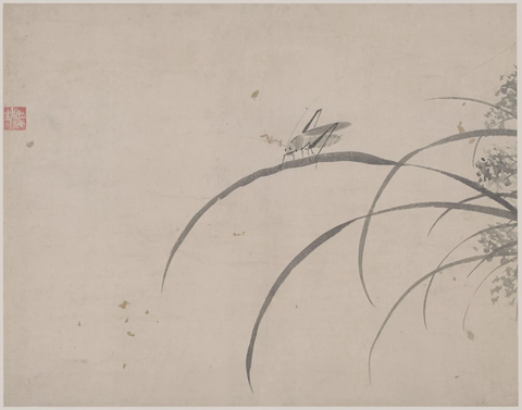 明 杜大成 花蝶草虫纸本28x35(9)