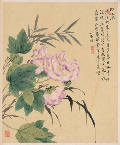 清 邹一桂 花卉八开-6（芙蓉竹子图）纸本 26x32