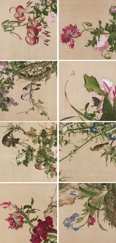 清 郎世宁 册页9-16 53x50.5