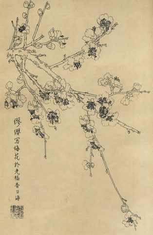 百花图谱03梅花 