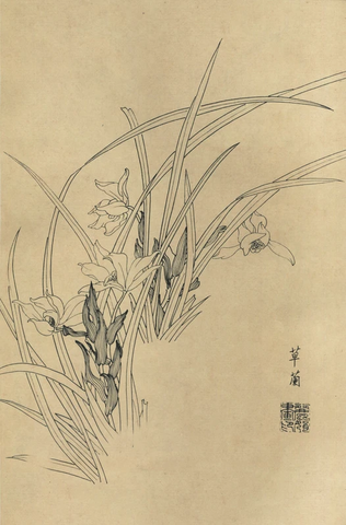 百花图谱07兰花 