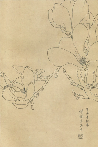 百花图谱12兰花 