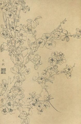 百花图谱13木桃 
