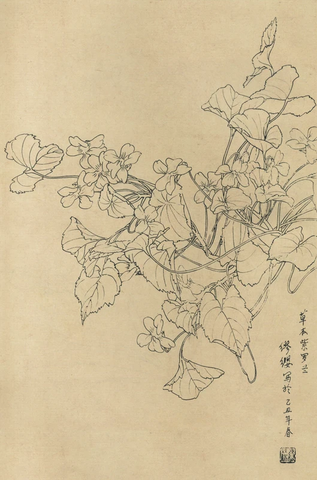 百花图谱24 紫罗兰 