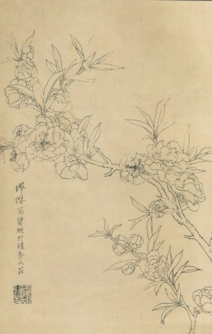 百花图谱33 碧桃 