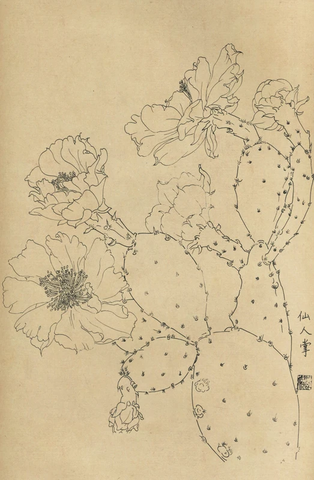 百花图谱69 仙人掌 