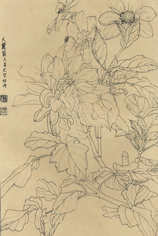 百花图谱88 大丽菊 