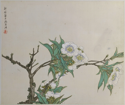 第三开：新种梨花满扇湖