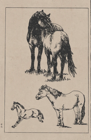 线描百马图谱 (50) 