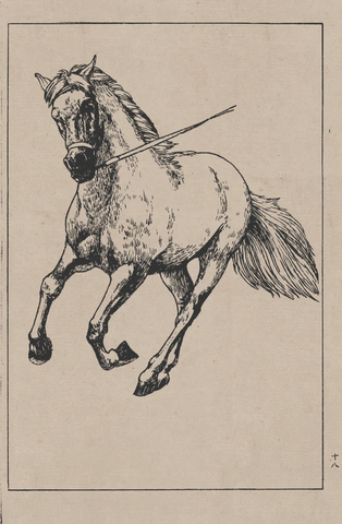 线描百马图谱 (51) 