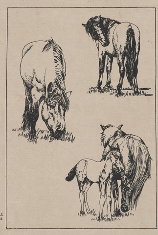 线描百马图谱 (67) 