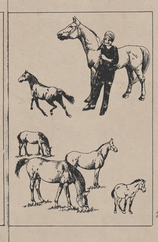 线描百马图谱 (68) 