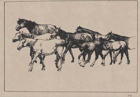 线描百马图谱 (7) 