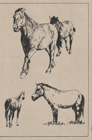线描百马图谱 (70) 
