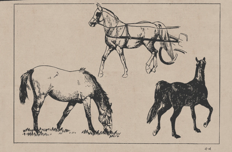 线描百马图谱 (74) 