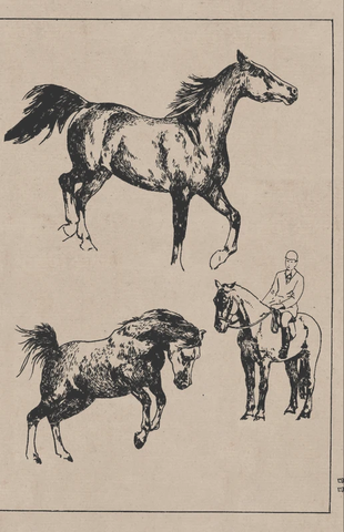 线描百马图谱 (8) 