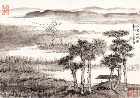 获岸如秋水42x30 