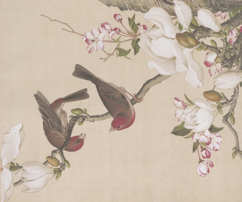 郎世宁-海棠玉兰图