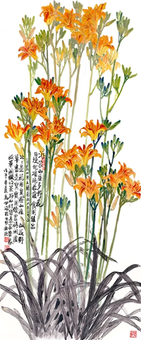 马世治  金针菜 