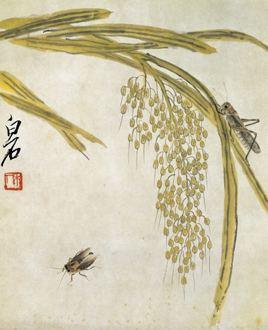 齐白石小品（1） (3) 