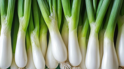 新鲜大葱详情
