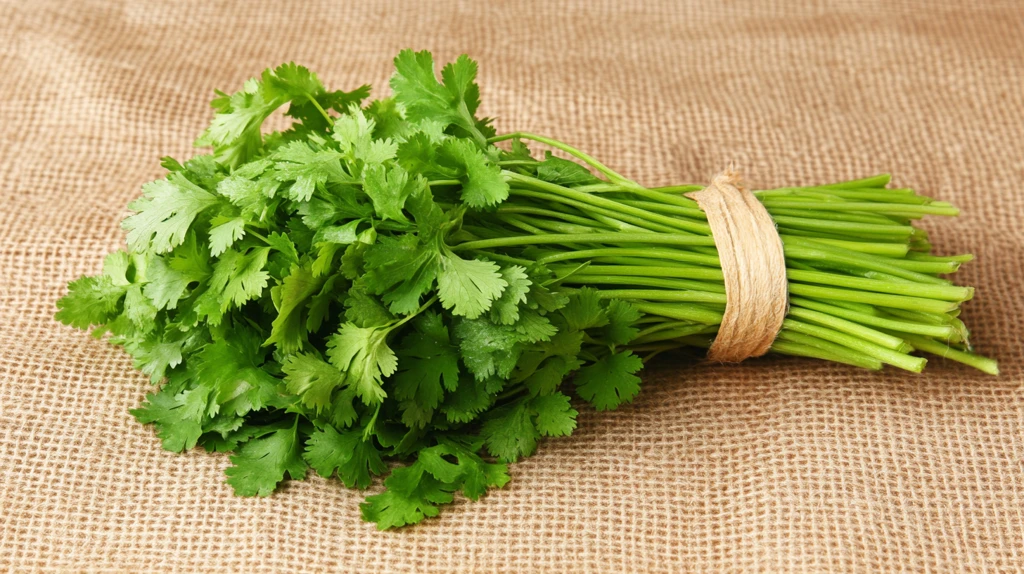 精品香菜