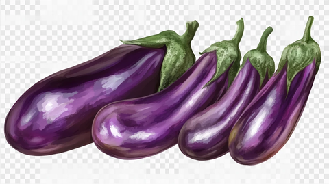 紫色瓜果蔬菜植物