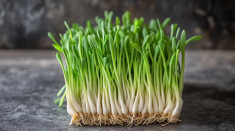 木底上摆放着小葱