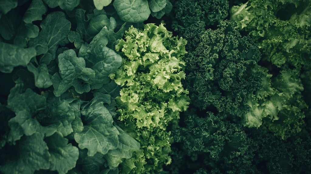 现代农业绿色蔬菜