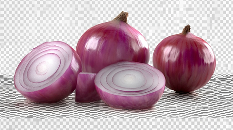 洋葱素材下载