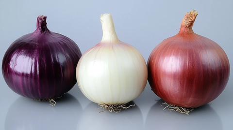 洋葱高清图片