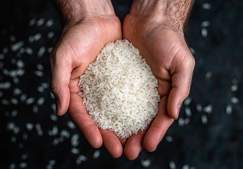手中长粒白米