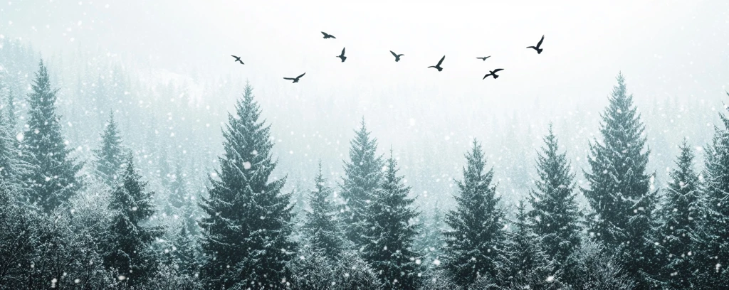 雪松林中的黑鸟