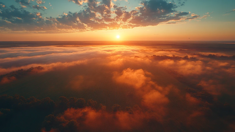 无人机俯瞰大豆田