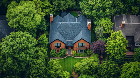 小屋与豪宅对比照