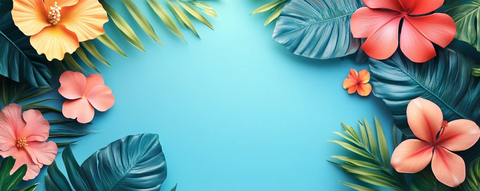 夏日横幅空白背景