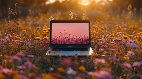 笔记本花丛中的孤岛