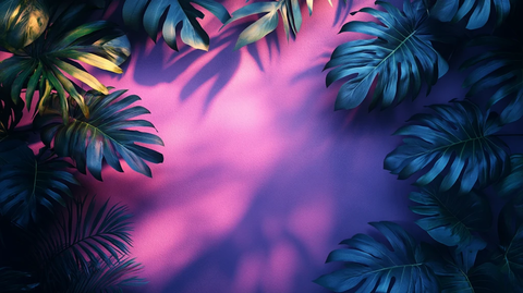 紫色粉色渐变墙面