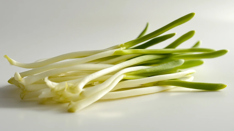 绿豆芽生长特写