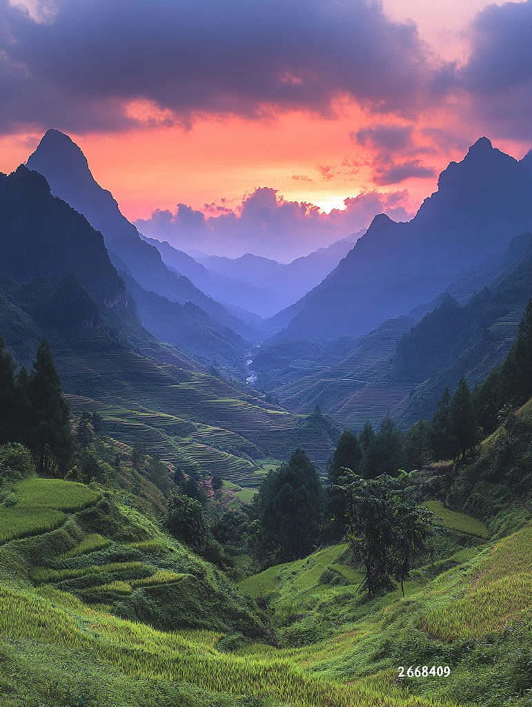 层叠梯田绿意浓