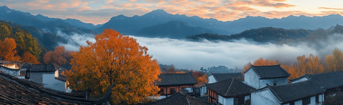 白墙黑瓦柿子树