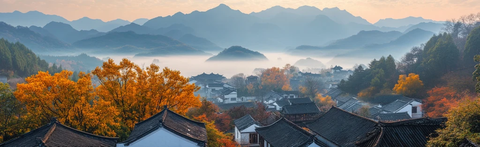 白墙黑瓦柿子树