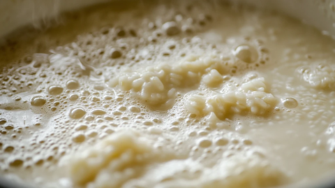 米汤融合沸腾