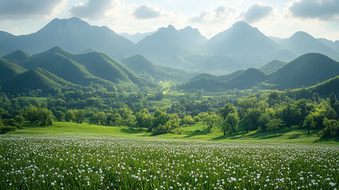 春日山林桑树荫