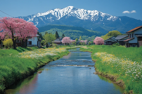 樱花绿意雪峰河