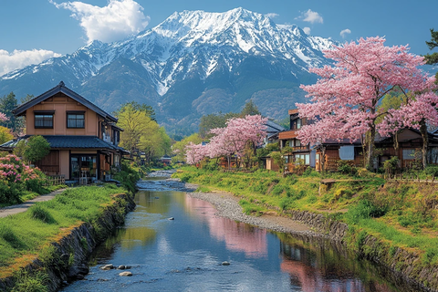 樱花绿意雪峰河