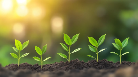 企业快速增长图